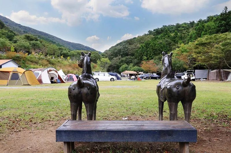 반가운캠핑장 7