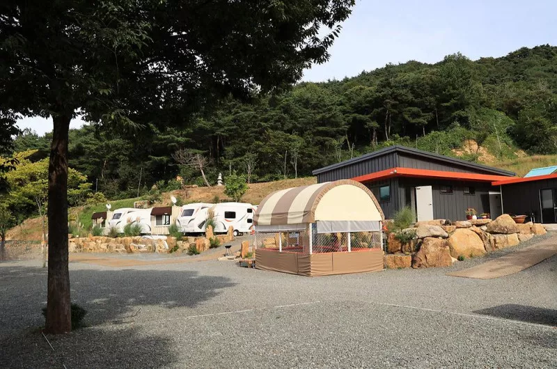 옥천1382 5