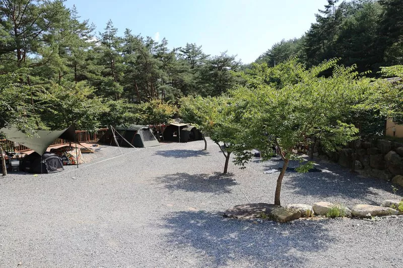 캠프 오어즈 7
