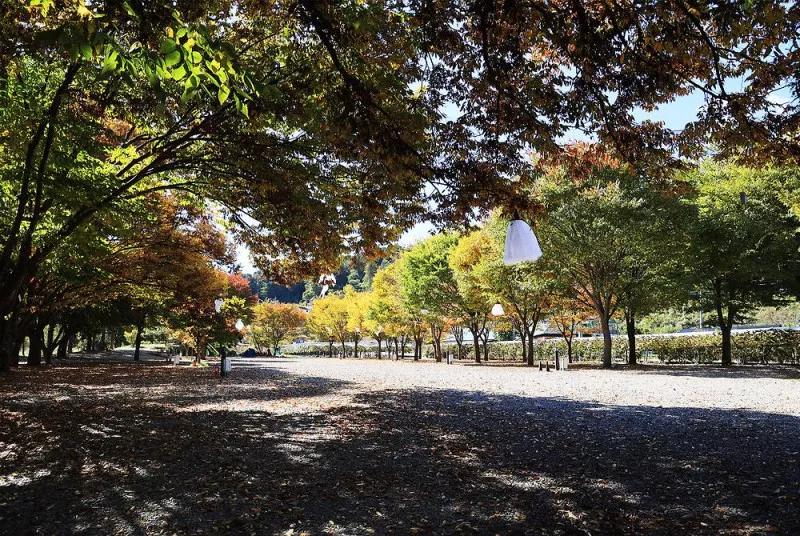 포도밸리 캠핑장 11