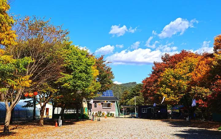 포도밸리 캠핑장 1