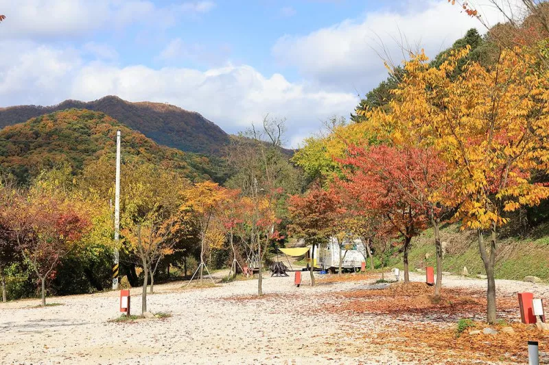 포천그린별캠핑장 9