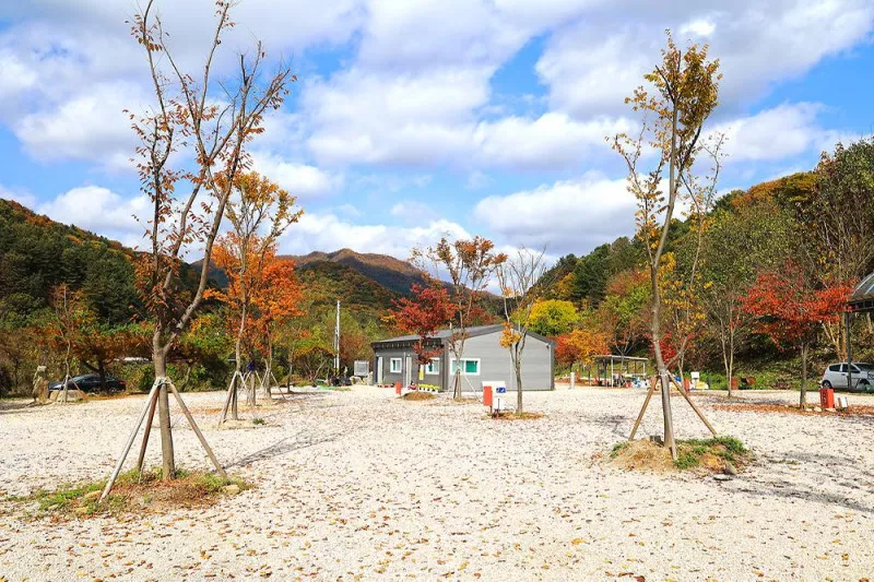 포천그린별캠핑장 8