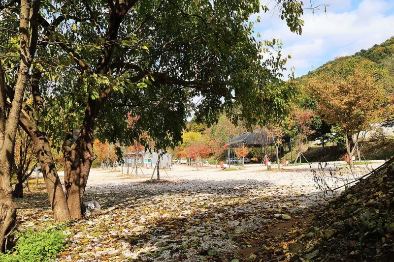 포천그린별캠핑장 3
