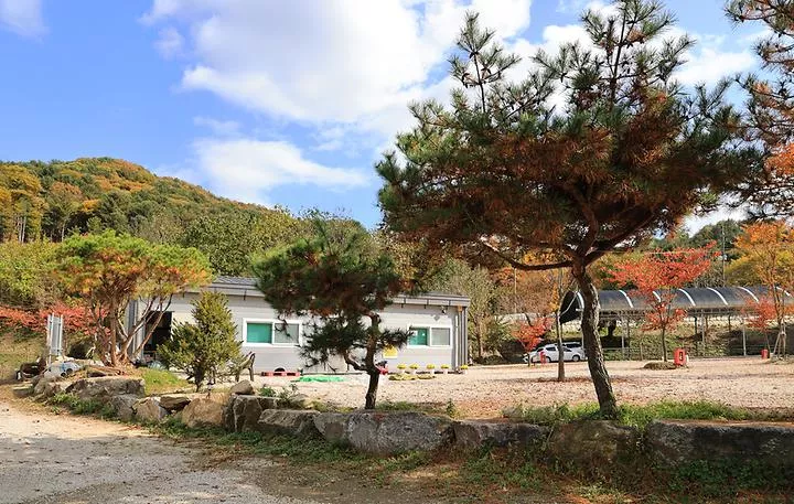 포천그린별캠핑장 1