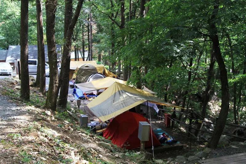 오서산자연휴양림 11