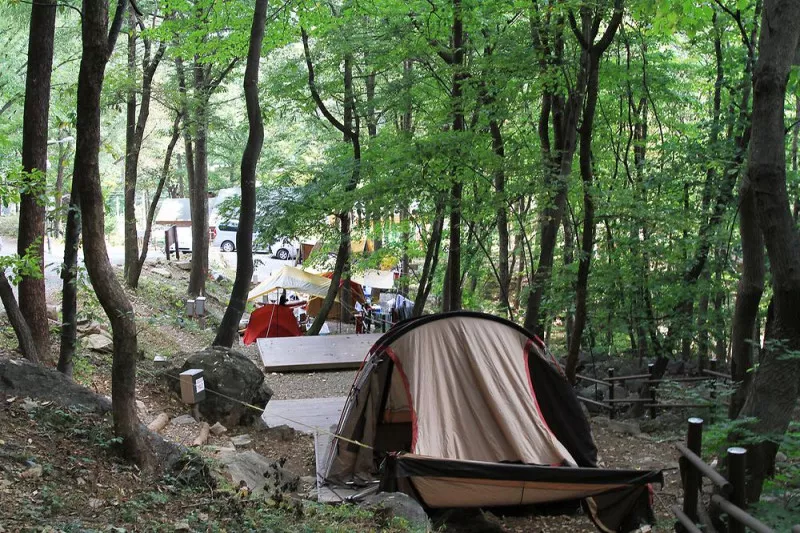오서산자연휴양림 10