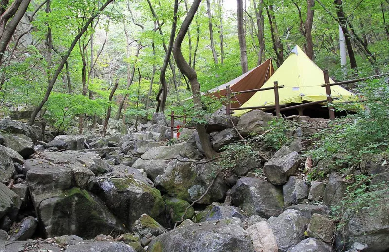 오서산자연휴양림 5