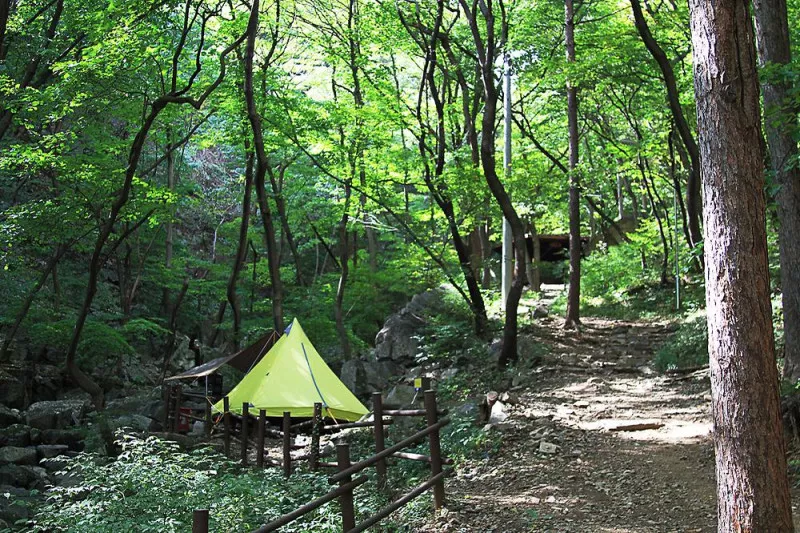 오서산자연휴양림 6