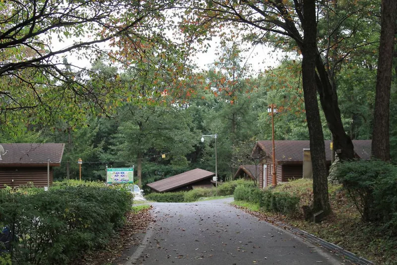 오서산자연휴양림 4