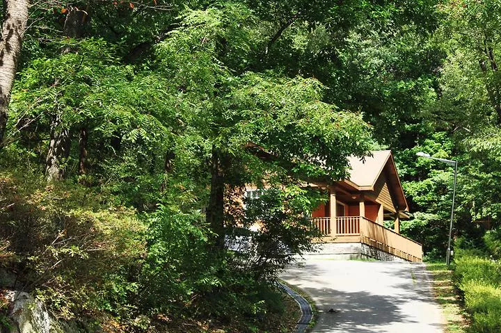 오서산자연휴양림 1