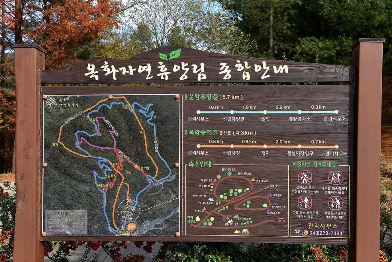 옥화 자연휴양림 국민여가캠핑장 2