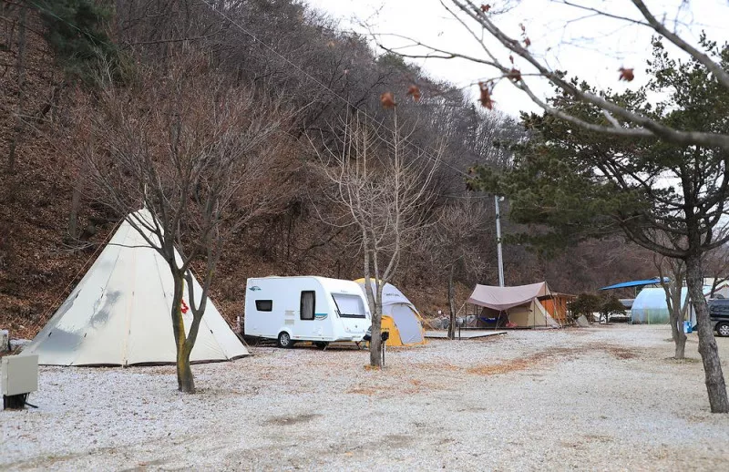진밭골향기관광농원 야영장 9