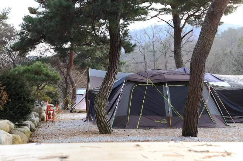 진밭골향기관광농원 야영장 6