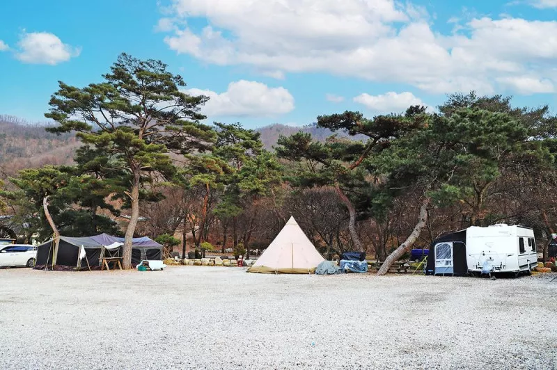 진밭골향기관광농원 야영장 10