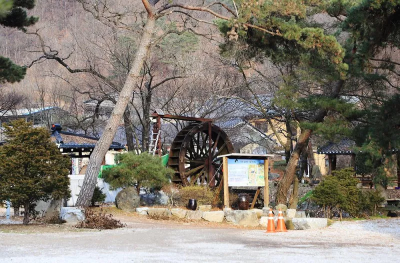진밭골향기관광농원 야영장 8