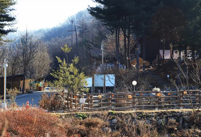 춘천숲자연휴양림엔글램핑 8