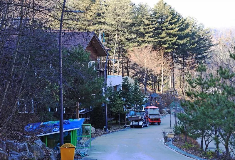 춘천숲자연휴양림엔글램핑 6