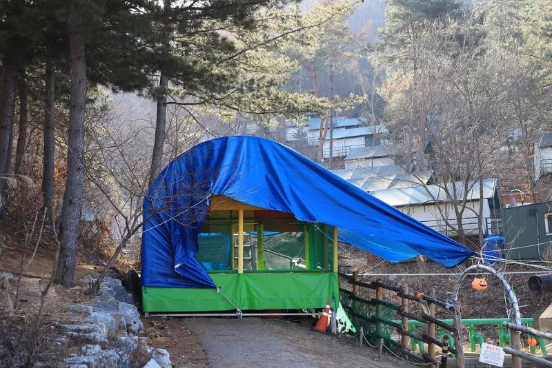 춘천숲자연휴양림엔글램핑 3