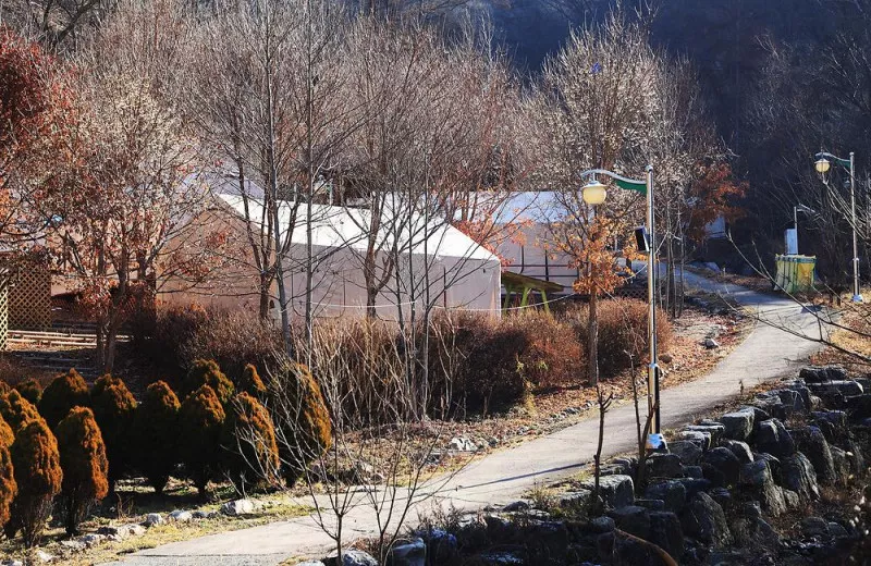 춘천숲자연휴양림엔글램핑 4