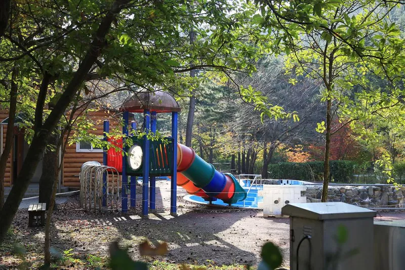 희리산 해송자연휴양림 일반야영장 3