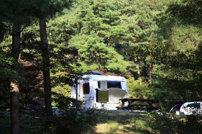 희리산해송자연휴양림 자동차야영장 10
