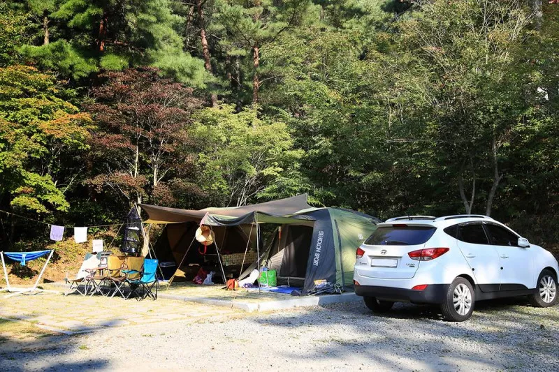 희리산해송자연휴양림 자동차야영장 5
