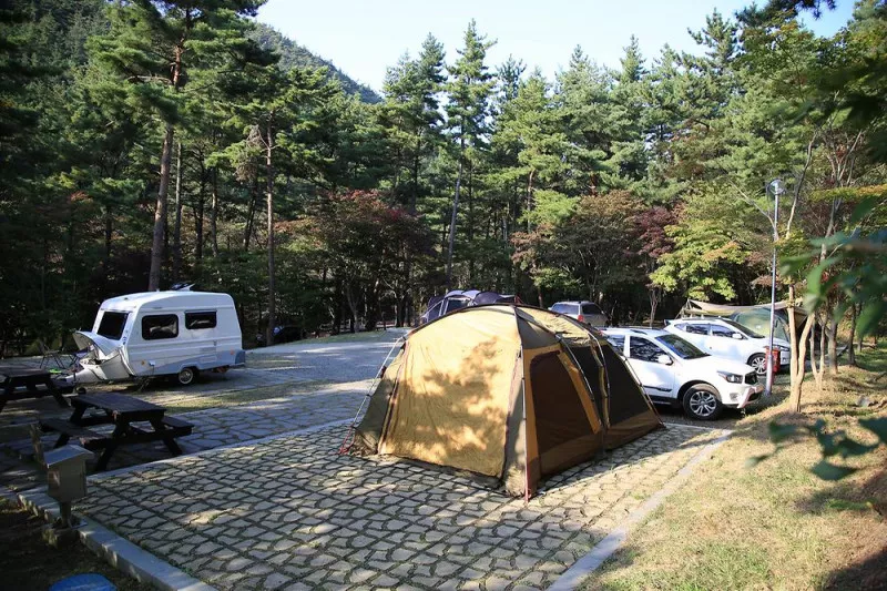 희리산해송자연휴양림 자동차야영장 9