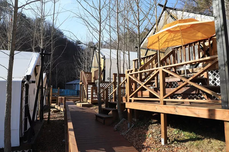 YELLOW HILL(옐로우힐) 4
