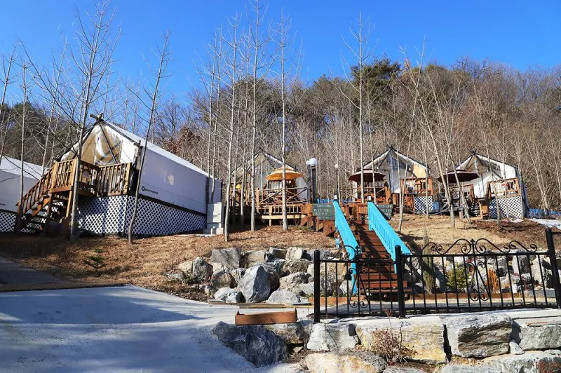 YELLOW HILL(옐로우힐) 5