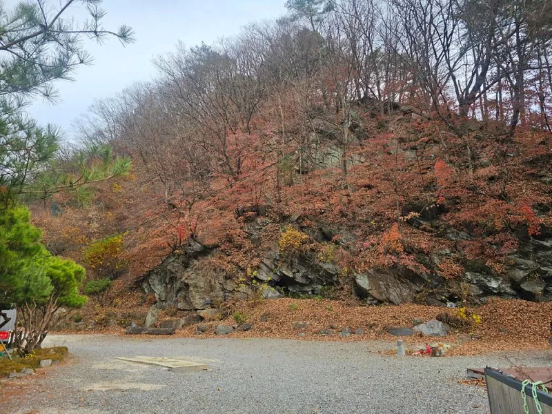 가평 제이캠핑장 4