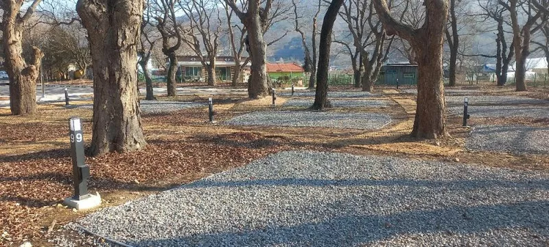 선돌느티나무캠핑마을 영농조합법인 5