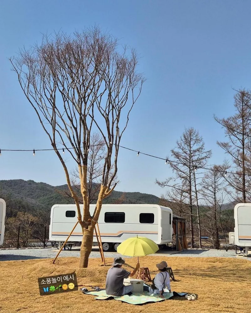송백농원(이나투캠핑) 3
