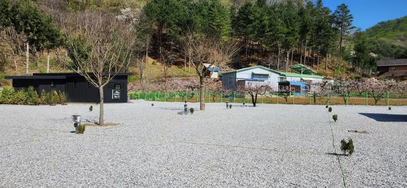 도전캠핑장 7