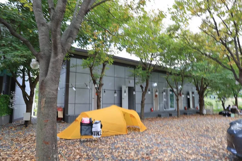 캠핑 돗가비 9