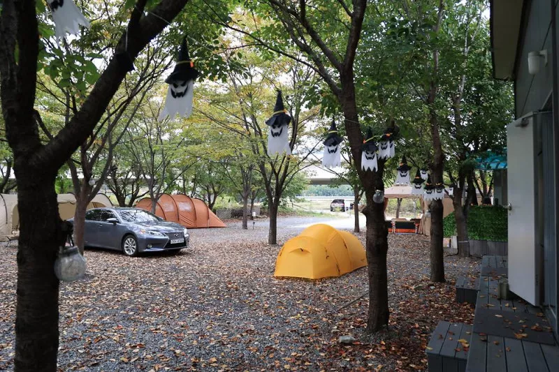 캠핑 돗가비 6