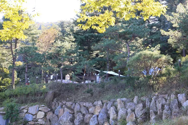 포레스트벨리캠프 9