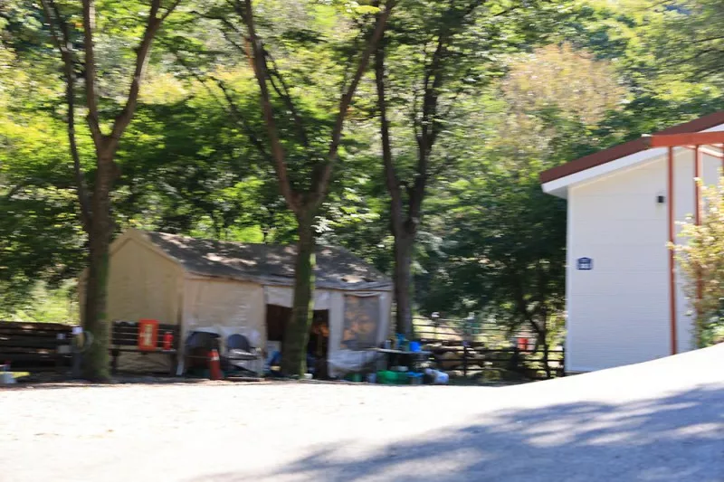 포레스트벨리캠프 3