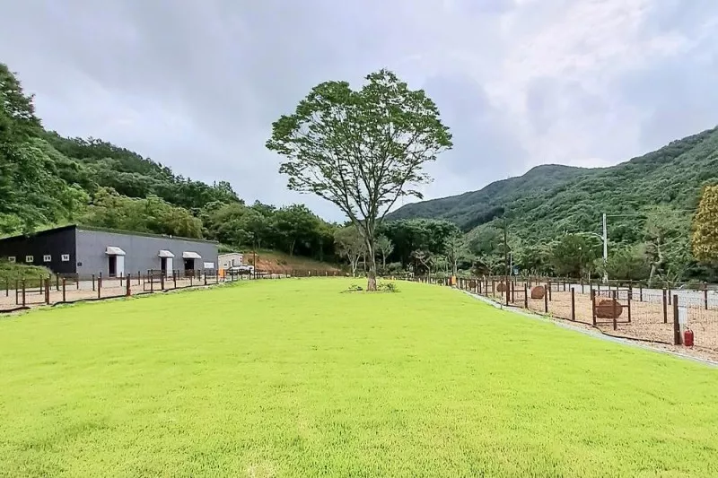 캠프정감 9