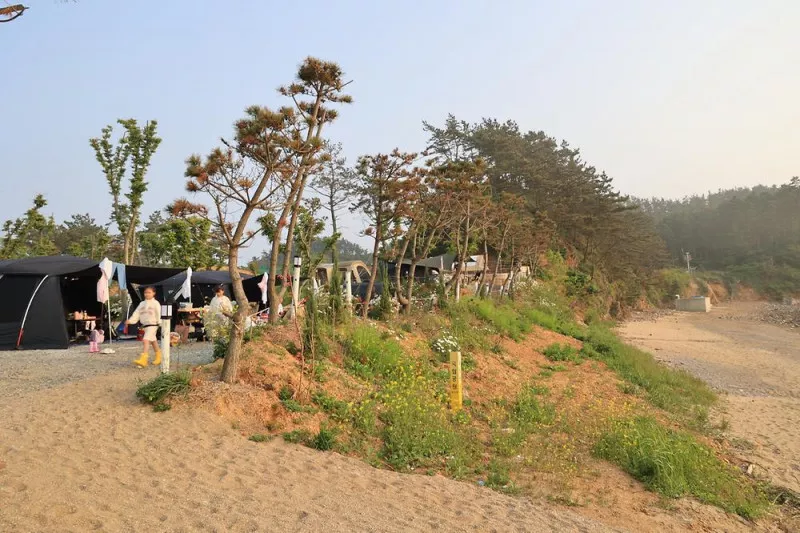 파도와노을캠핑장 4