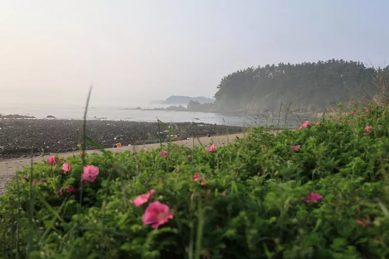 파도와노을캠핑장 6