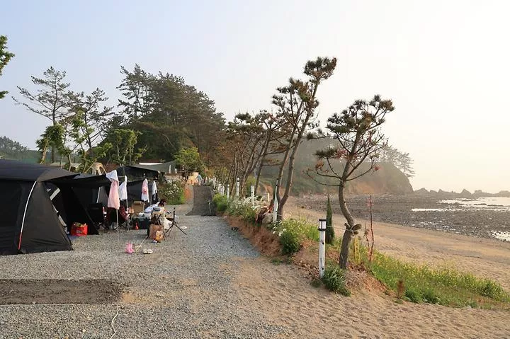 파도와노을캠핑장 1
