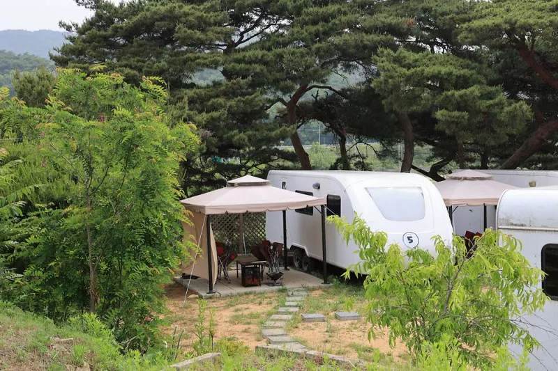 서산클럽아일랜드 9