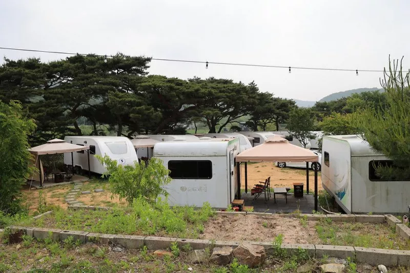 서산클럽아일랜드 8