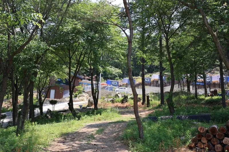 해이든 지앤에스 7
