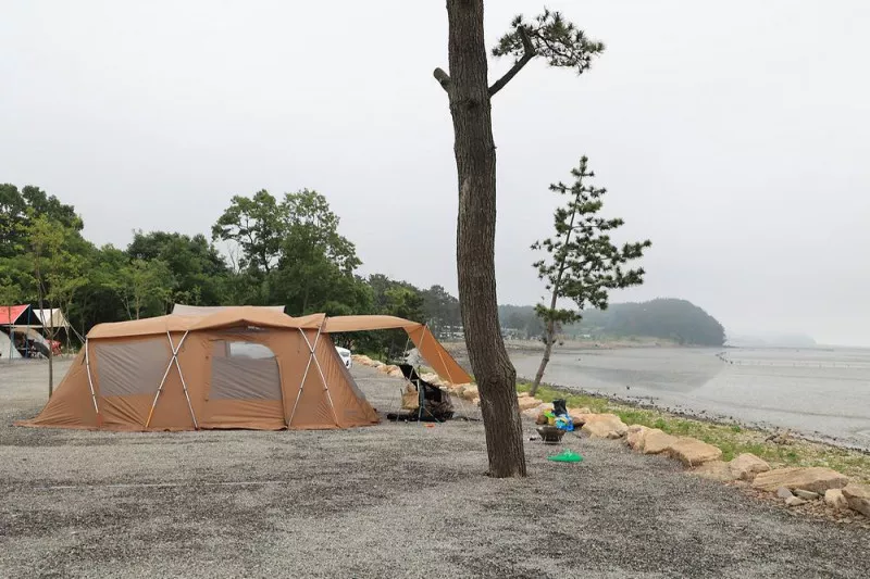 태안머드오토캠핑 11
