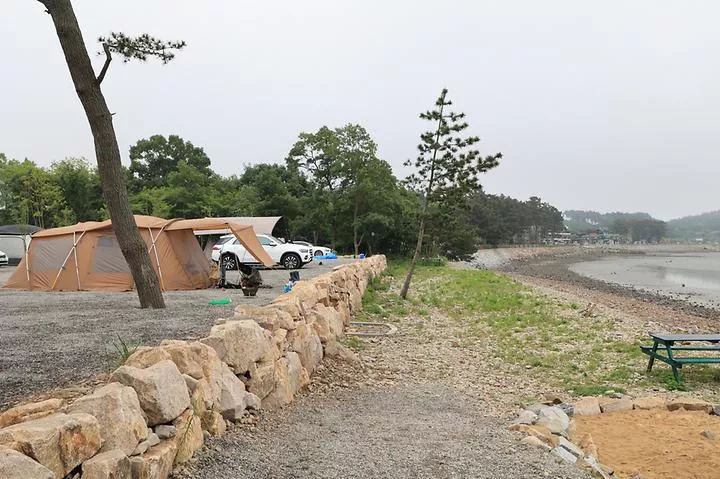 태안머드오토캠핑 1