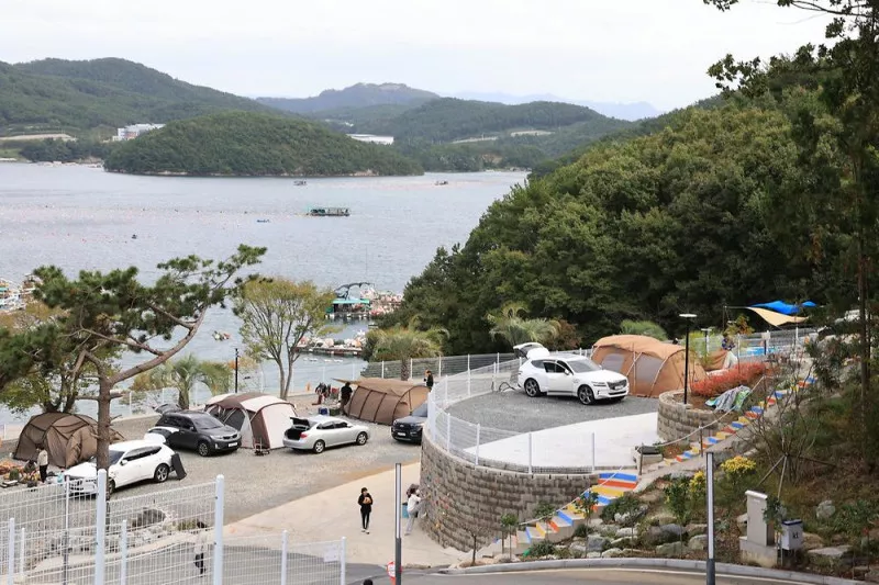 더 숨 포레스트 11