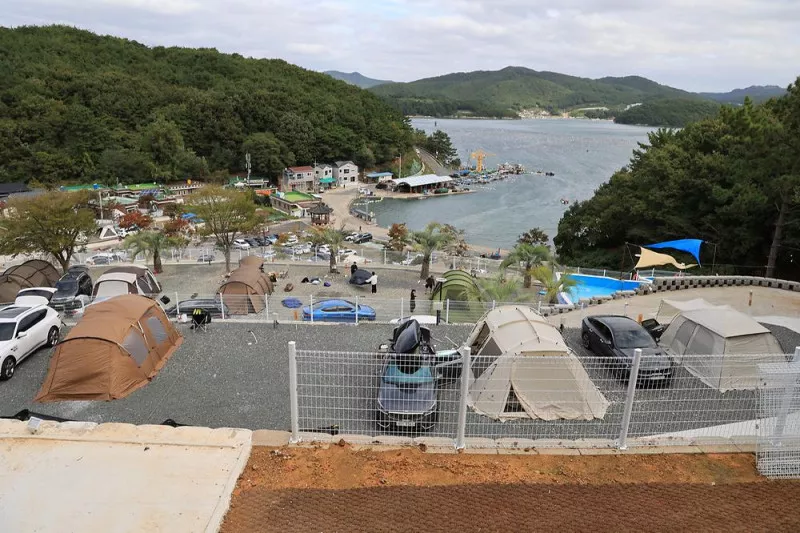 더 숨 포레스트 5