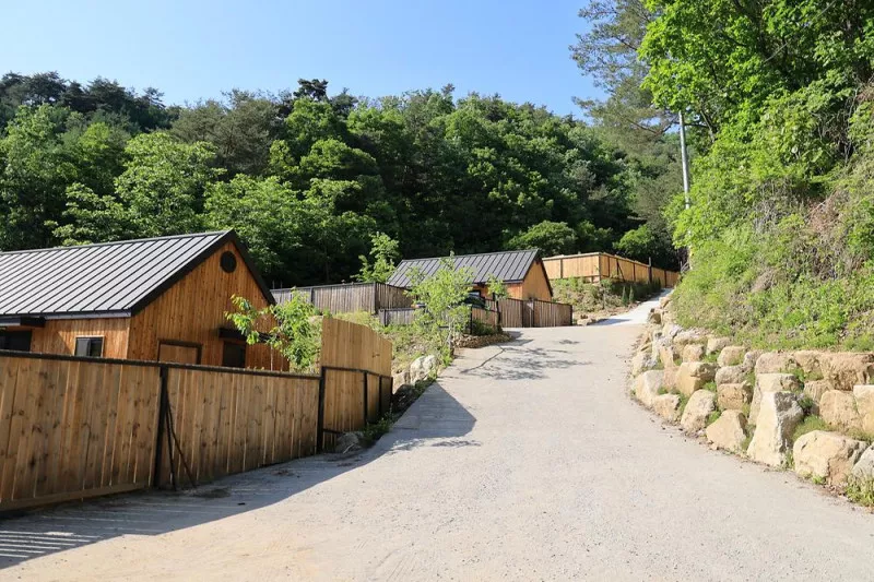 잼보리 캠프 11